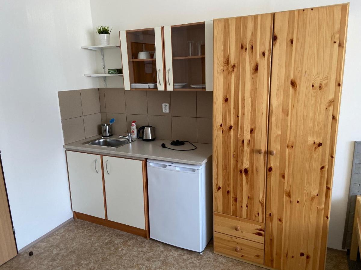 Apartmany Premyslova Hradec Králové 외부 사진
